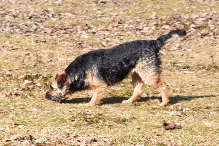 100403-Gefjyn-spårar.jpg