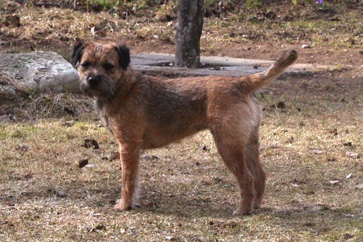 100417-Freja.jpg