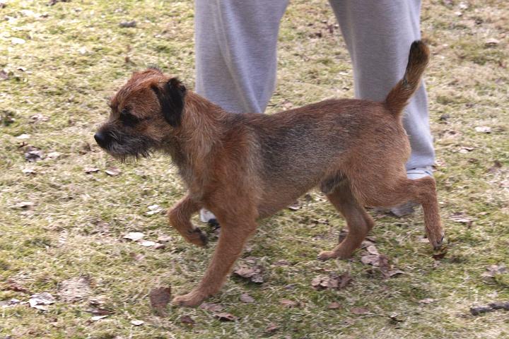 100417-Sigge.jpg