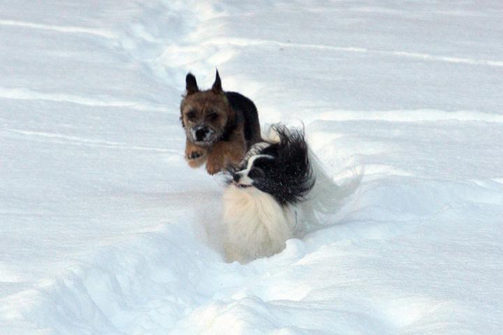 20101210-Se-upp.jpg