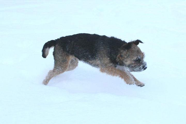 20101210-Snö-tjo-hooo.jpg