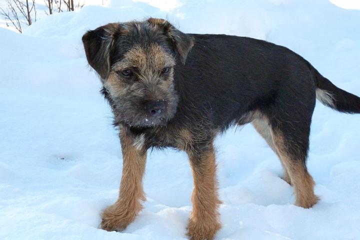 20101213-Loke.jpg