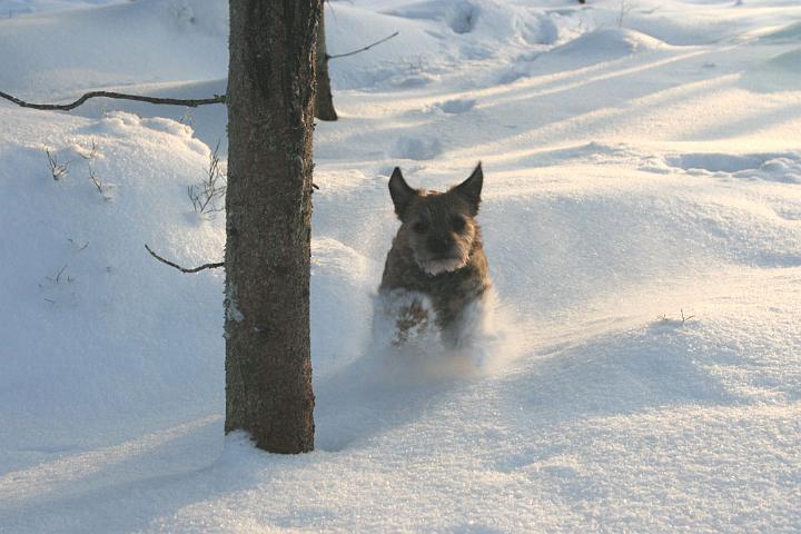 20101223-Sot.jpg