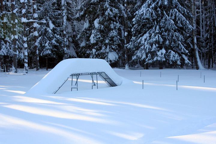 20100221-Snart-träningsdax-.jpg