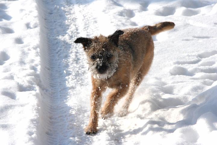 20100221-Sot.jpg