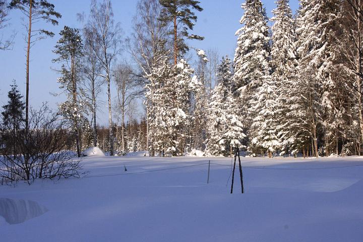 20100221-Vilken-dag.jpg