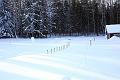 20100221-Snart-träningsdax