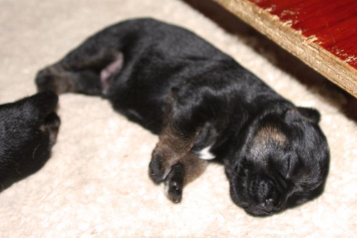 20100717-Tik-3.jpg