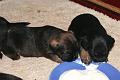 20100728-Gott