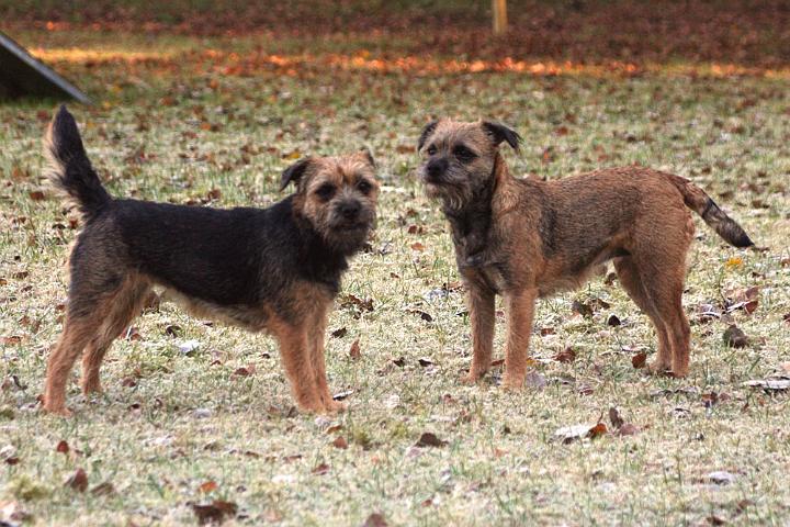 20101105-Mor-&-Dotter.jpg