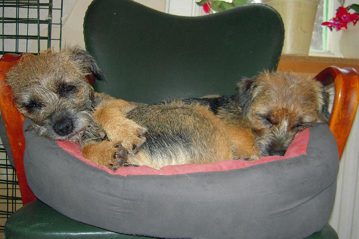 20101112-Mor-&-dotter.jpg