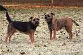20101105-Mor-&-Dotter