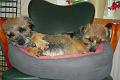 20101112-Mor-&-dotter