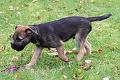 20101003-Frode-(Kosmos)