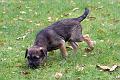 20101003-Vidar