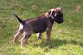 20100902-Vidar