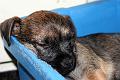 20100917-Vidar