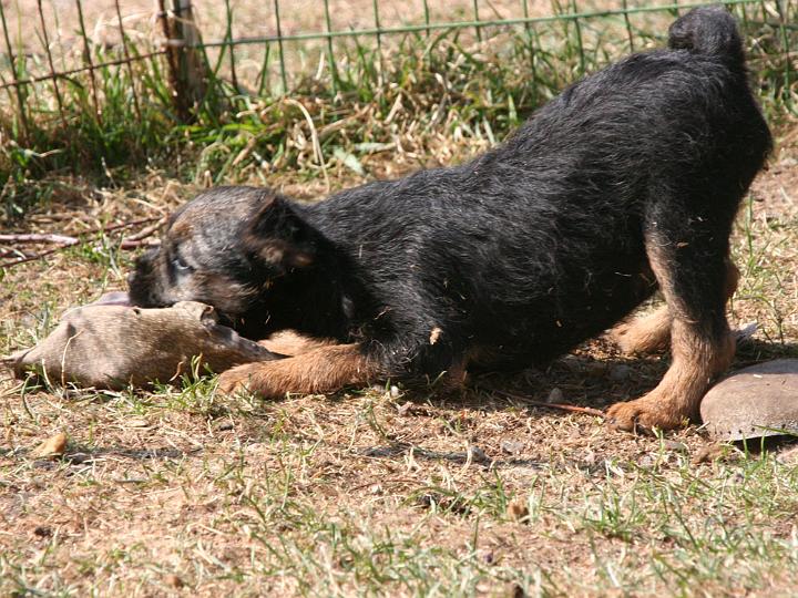 20110421-Det-är-min.jpg