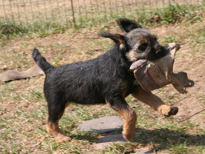 20110421-Tjohooo.jpg