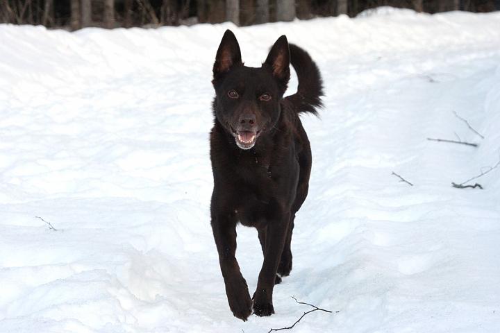 20110101-Rocco.jpg
