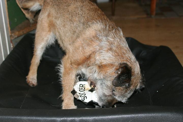 20110107-Ben-13-år-1.jpg