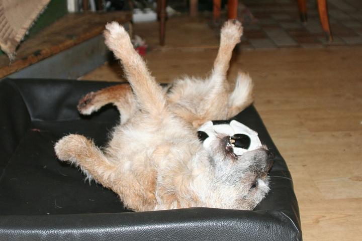 20110107-Ben-13-år-3.jpg