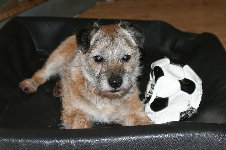 20110107-Ben-13-år-4.jpg