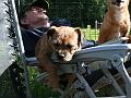 20110602-Tea-Husse