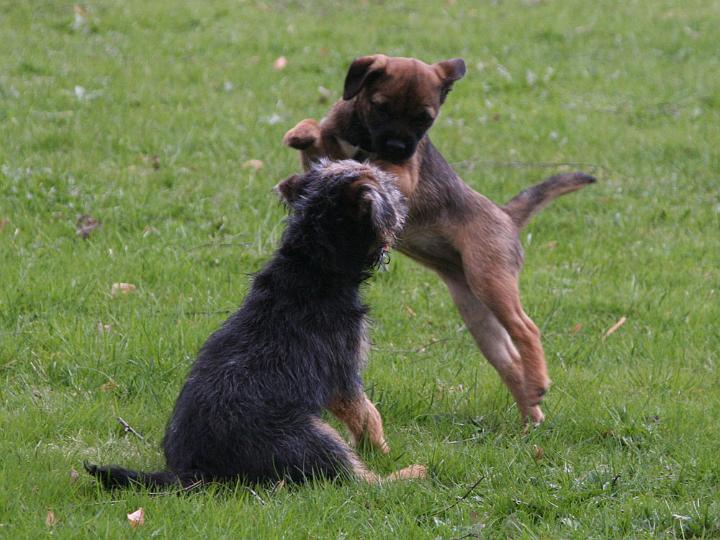 20110501-Hej-hopp.jpg