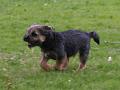 20110501-Harald---Ludde