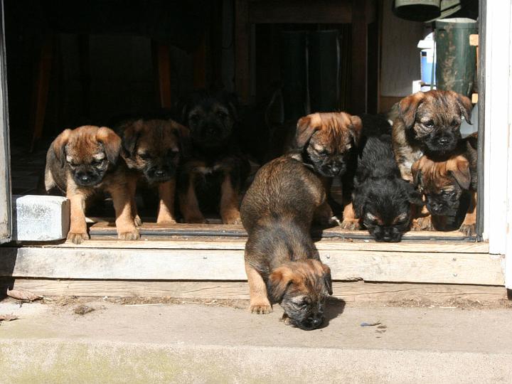 20110325-Första-gången-ute.jpg
