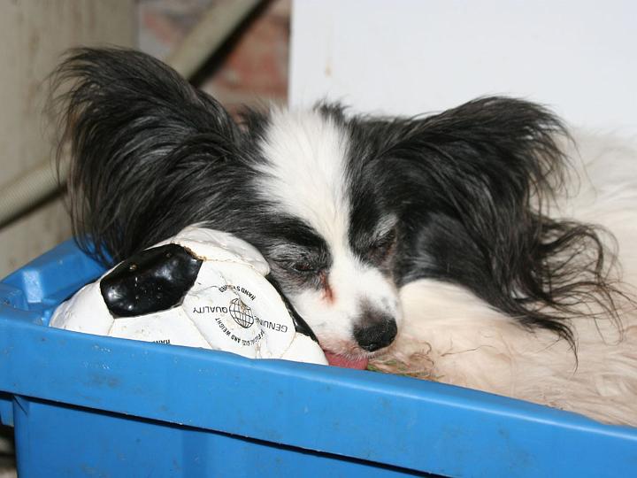 20110328-Pico.jpg