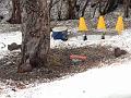 20110322-Våra-3-ekorrar