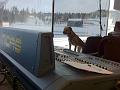 20120131-Ziggy-Holmenkollen