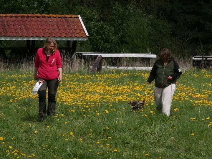 20120519-Sigge-spår.jpg