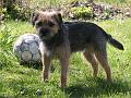 20120501-Ludde