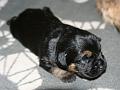 20120505-Hane-3