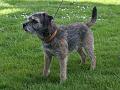 20120506-Dafnes-Konrad
