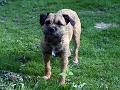 20120506-Trixie
