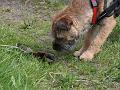 20120519-Konstig-pryl