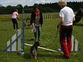 20120519-Ludde-agility