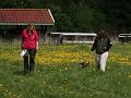 20120519-Sigge-spår