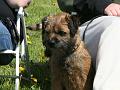 20120519-Sigge