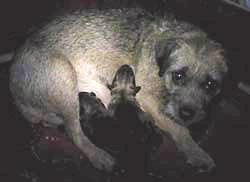 20041116.jpg