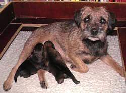 20041121-1.jpg