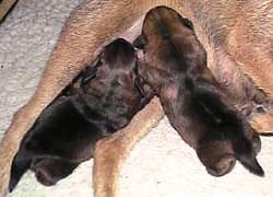20041121-2.jpg