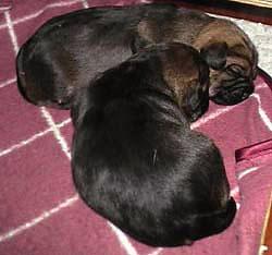20041201-1.jpg