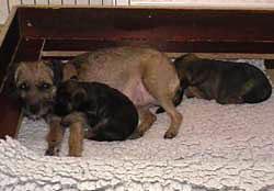 20041215.jpg