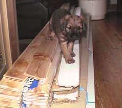 20050105-Munter.jpg