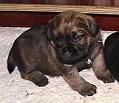 20041207-Munter